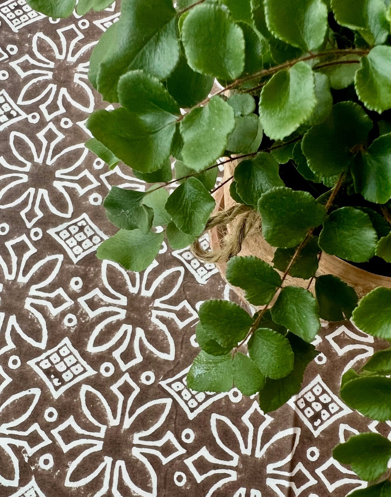 Medallion Napkins in Chocolate Brown- Set of 4